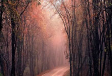 我国男双高永杰／窪纯佑不敌中国组合止步瑞昌赛次轮.