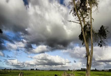 乒乓球亚洲杯：势如破竹 王楚钦3-0横扫宇田幸矢.