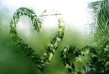 欧博：63岁华裔传奇参加世界杯！雅典奥运对阵张怡宁 21年后或战孙颖莎.