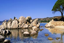 [图]武磊帽子戏法 海港3-1大胜浙江豪取10连胜.